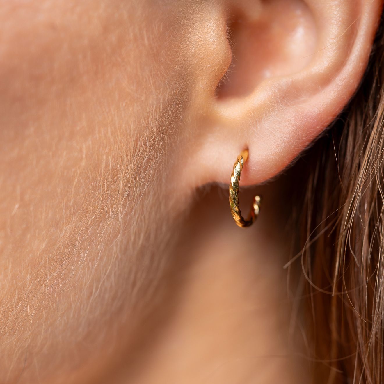 FENA Earring Gold / Silver